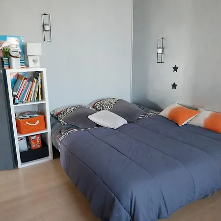 Les 3 Lys Maison Avec Piscine Et Garage Villa Lagord